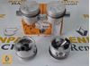 RENAULT 19 - MEGANE - KANGO - CLİO - EXP MOTOR PİSTON+SEGMAN SET